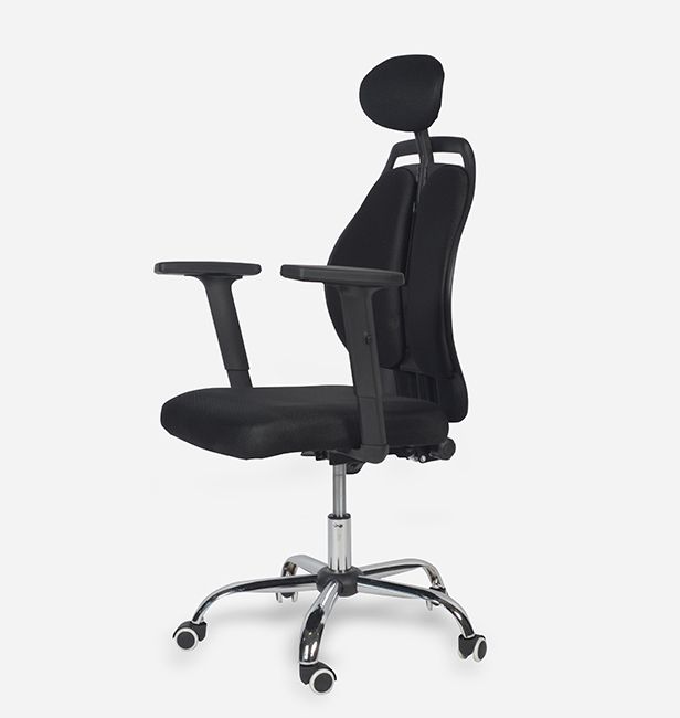 Customizable ErgoSpine Ergonomic Office Chair Amazingly Still